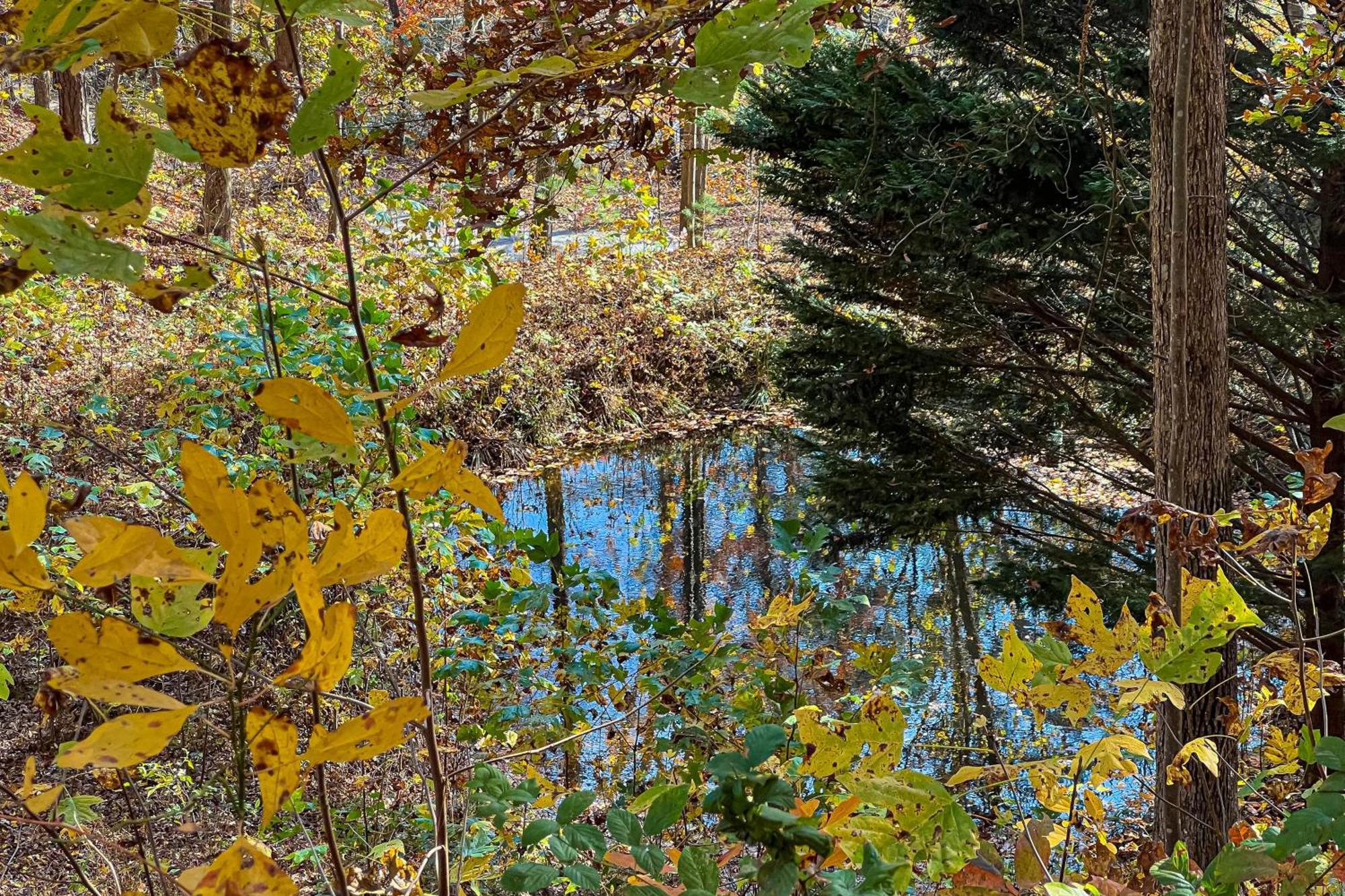 Best Kept Secret Blue Ridge Buitenkant foto